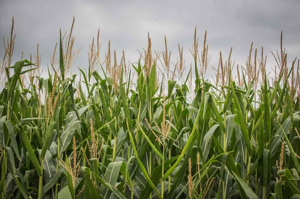 El resultado no responde a un momento, responde a un proceso