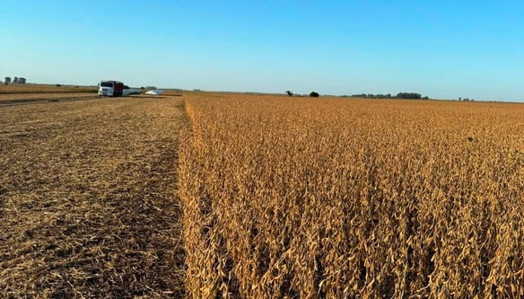 Variabilidad intra-lote: entender las diferencias para producir mejor