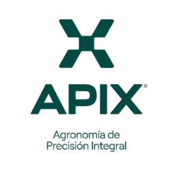 RGB_Isologotipo_Ver._+_Bajada_+_Fondo_Verde_Claro_1732x1713__1_-removebg-preview