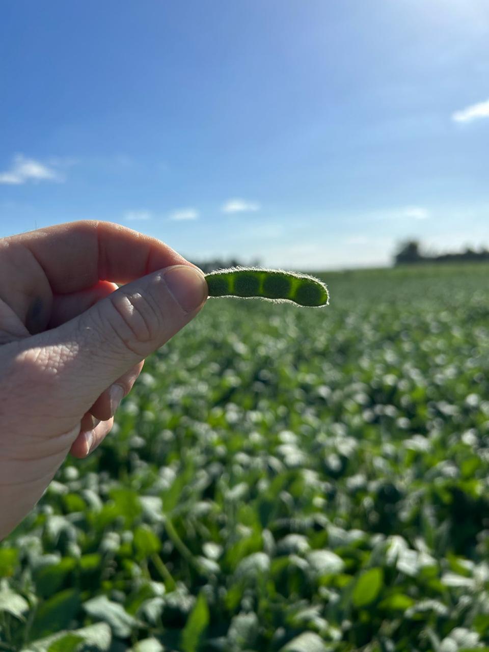 WhatsApp Image 2025-06-06 at 10.55.27 AM (1)