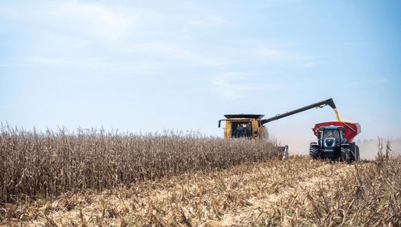 Estrategias postcosecha: por qué el análisis no termina al levantar la campaña